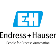 Endress Hauser Repair